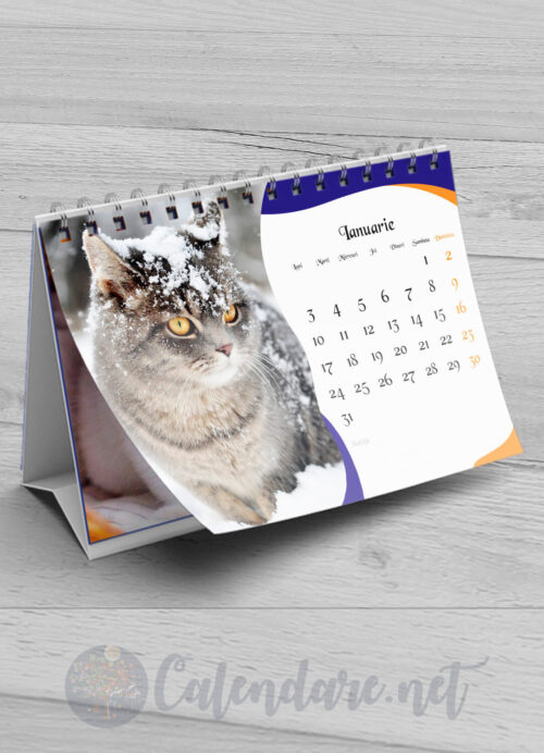 Calendar de birou - pisicute