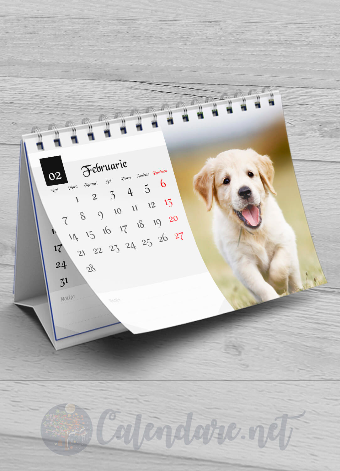 Calendar de birou - catelusi - imagine 3