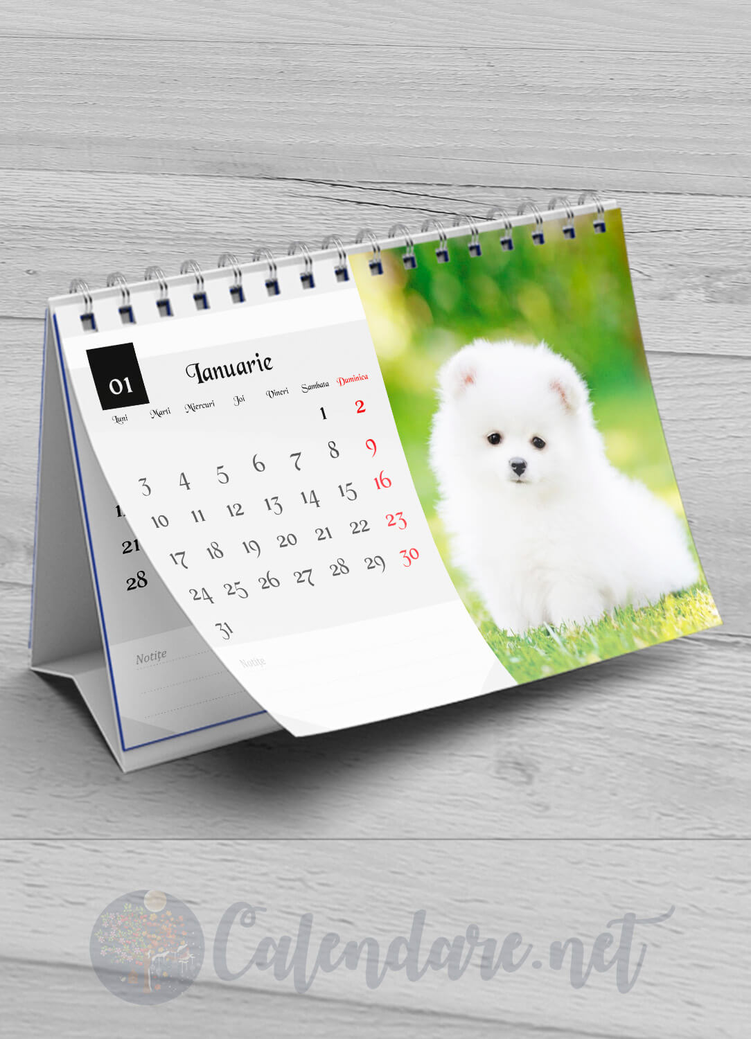 Calendar de birou – catelusi